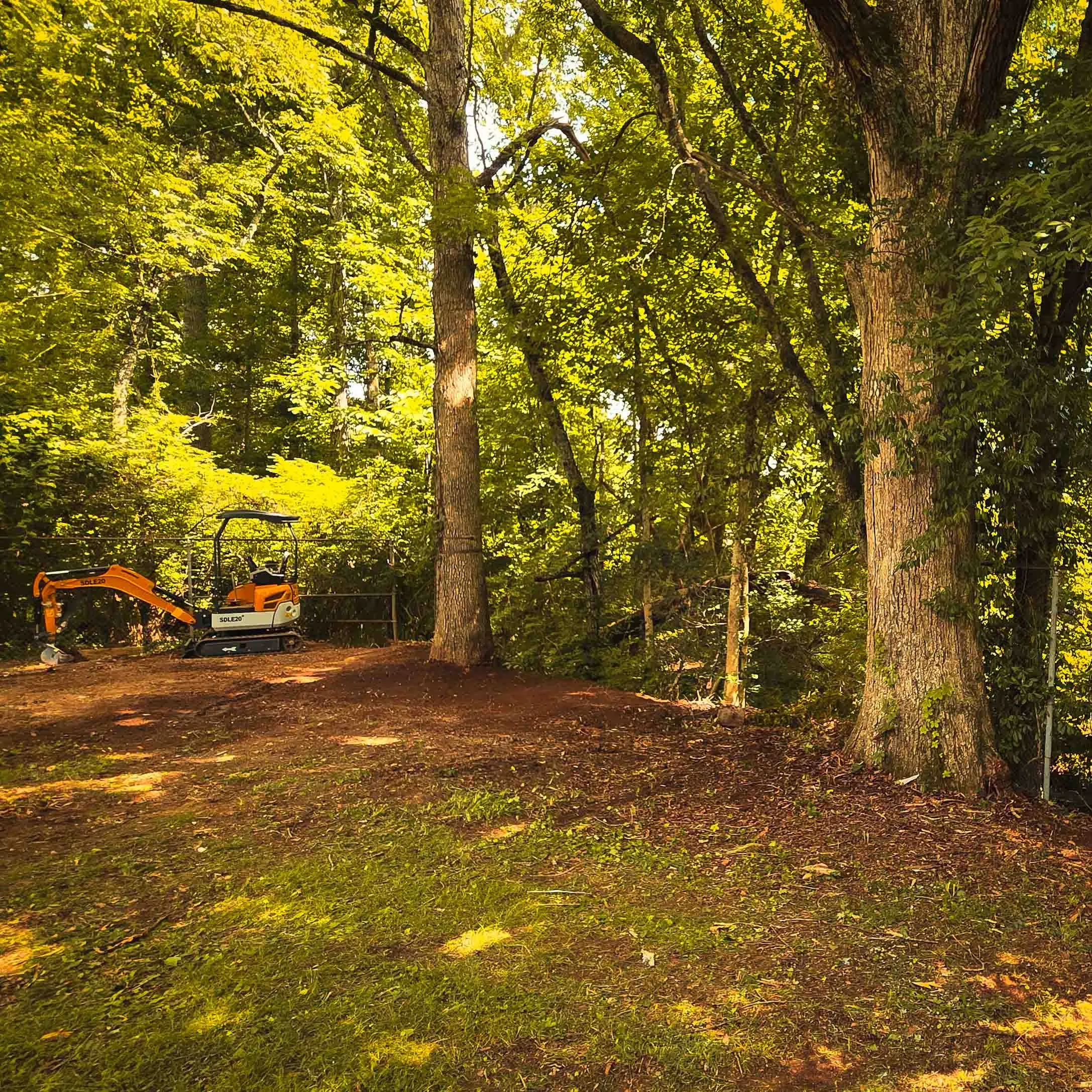 Overgrown backyard cleared, mature trees kept, Oak Ridge, TN