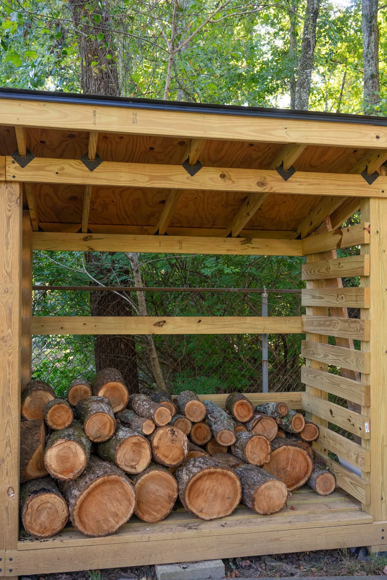 Single-bay firewood shed with slatted sides for airflow, Oak Ridge, TN