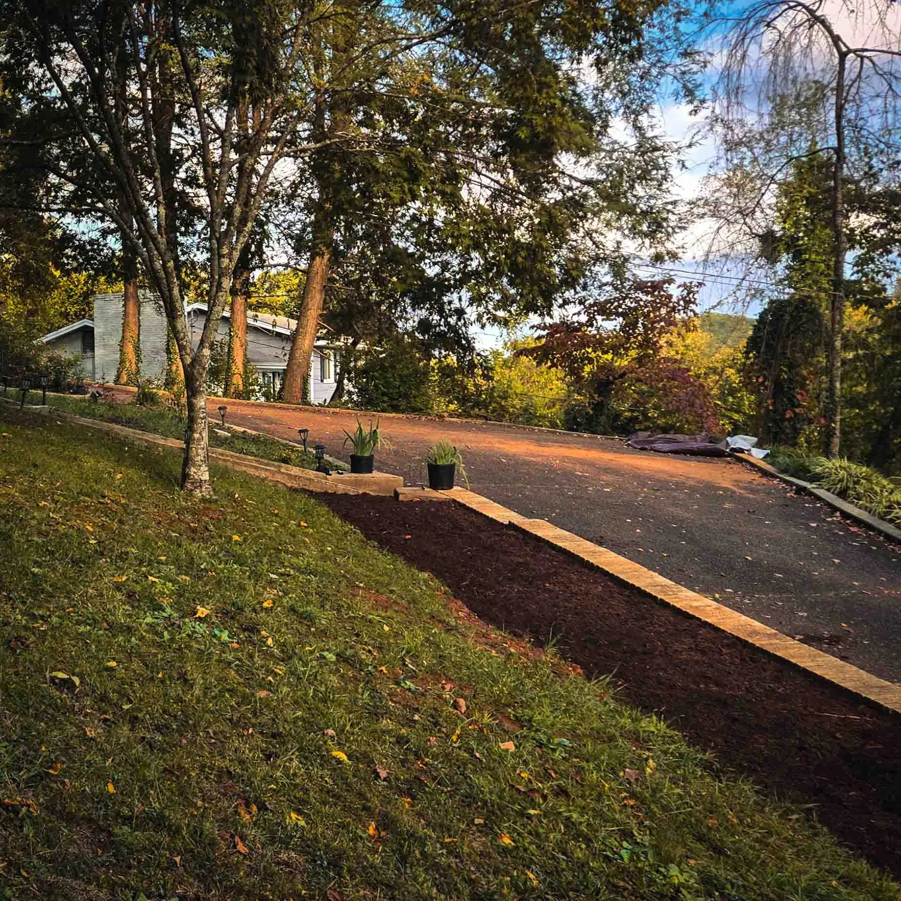 Mulched slope along the driveway, Oak Ridge, TN