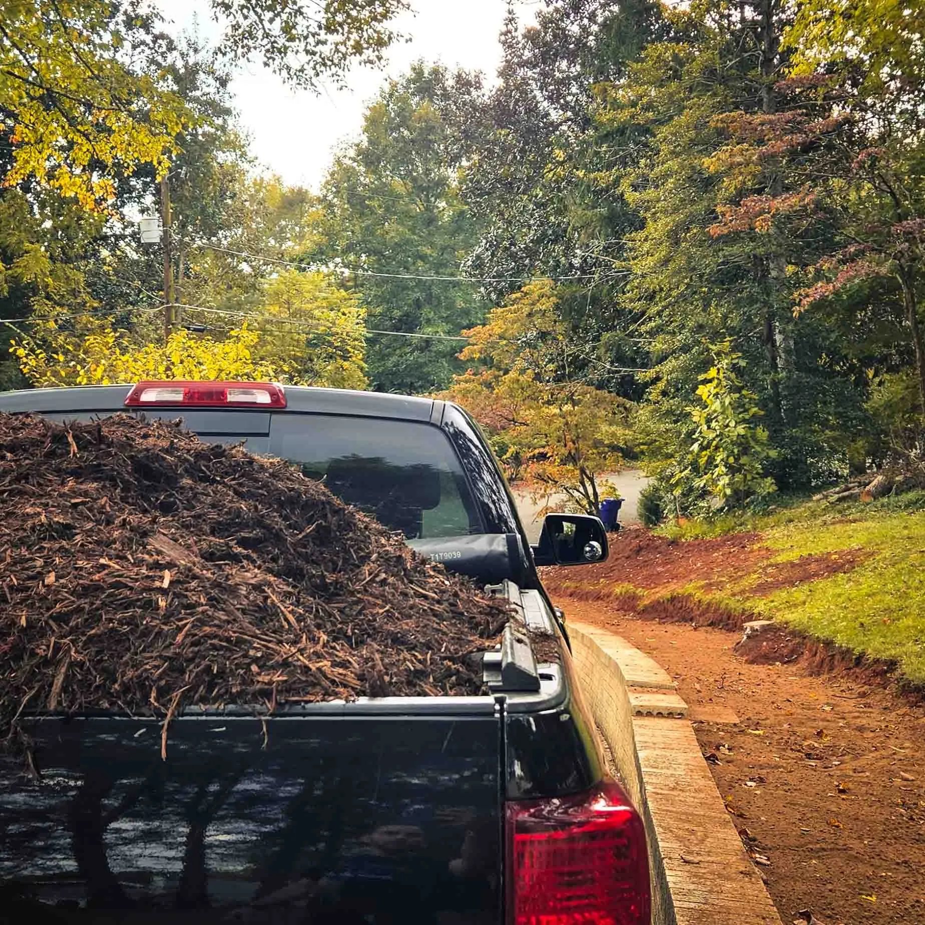 Preparing to mulch a freshly created bed, Oak Ridge, TN